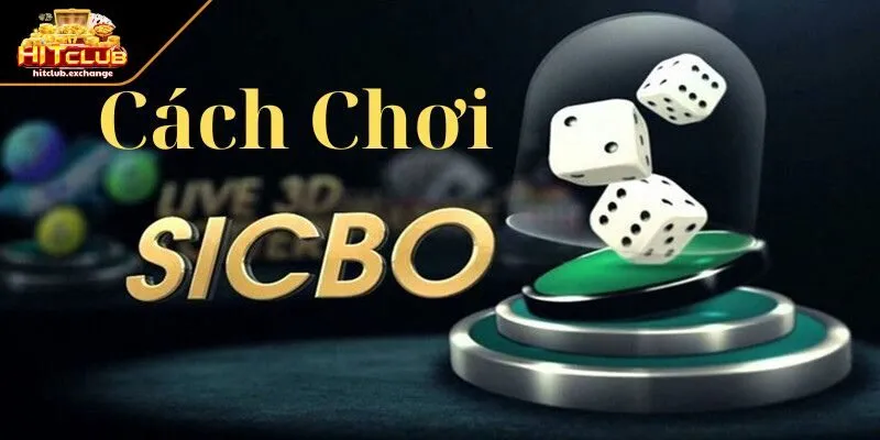 Tìm hiểu luật và cơ chế hoạt động Sicbo tài xỉu